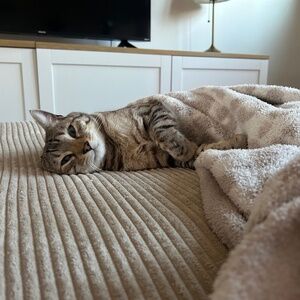 Meet your Posher, Tori